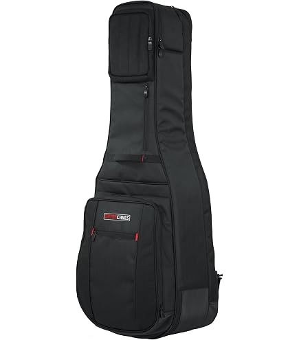 Amazon.com: MONO M80 Dual Acoustic and Electric Guitar Case